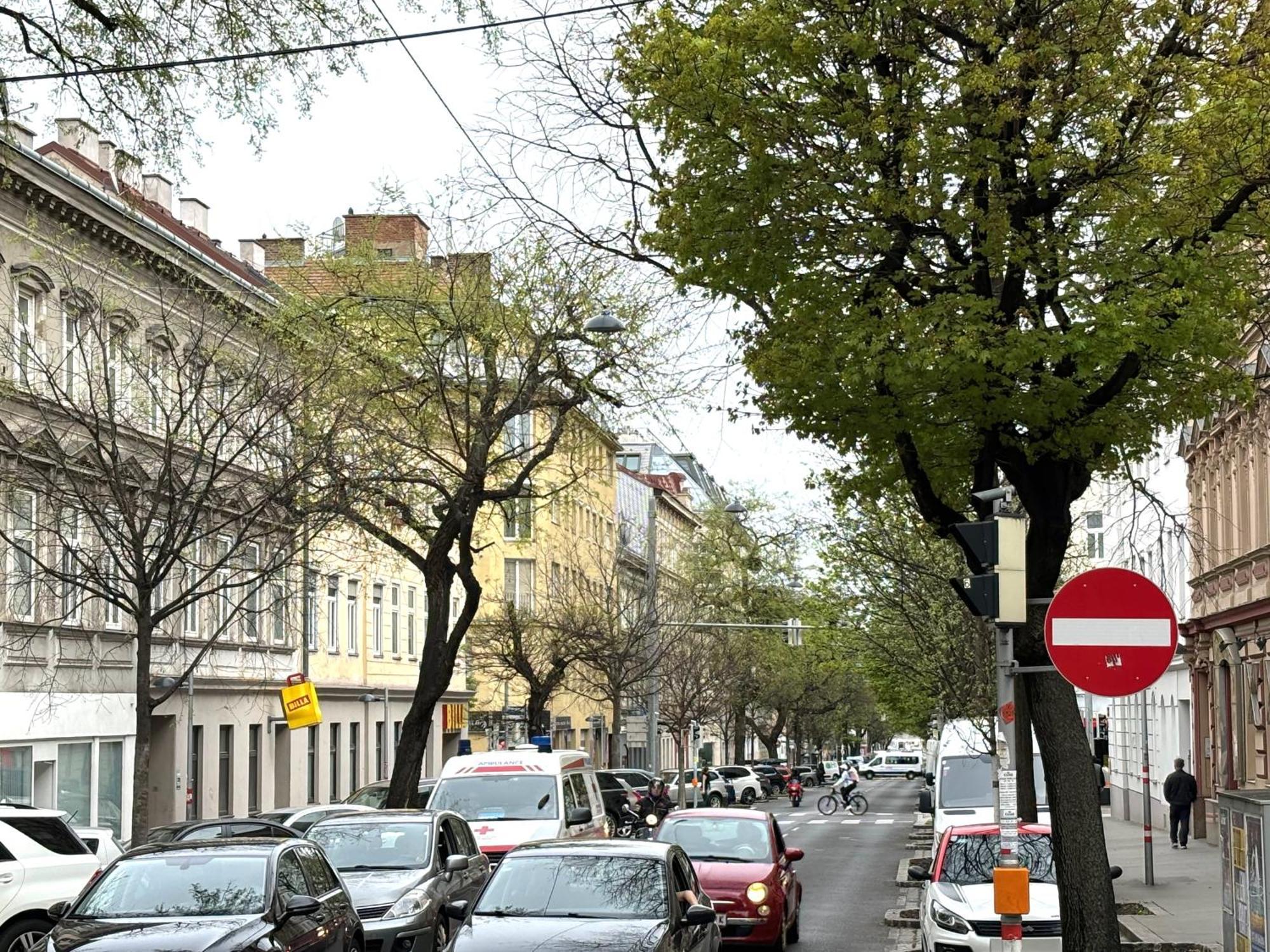 Traumhafte Wohnung Fuer 3, Grosszuegig, Walk In Dusche Viyana Dış mekan fotoğraf